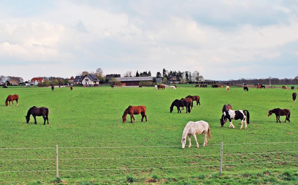Ferienwohnung Bergblick Xanten Exteriér fotografie